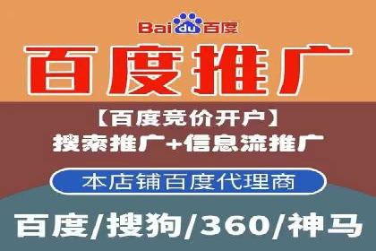 SEM运营公司案例研究：优化广告投放策略